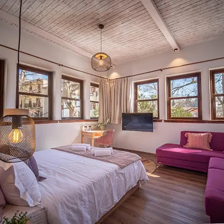 αρχοντικό πορταριάς Hotel Portaria (Magnesia)